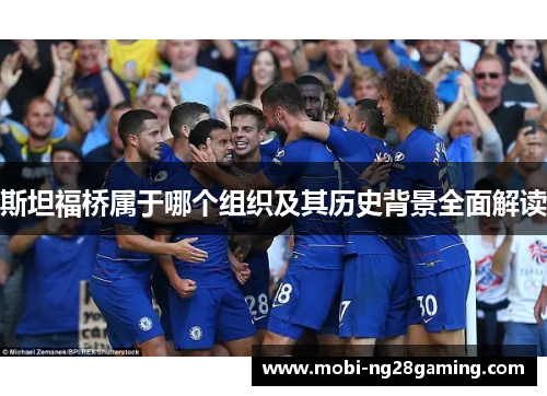斯坦福桥属于哪个组织及其历史背景全面解读 斯坦福桥属于哪个组织及其历史背景全面解读
