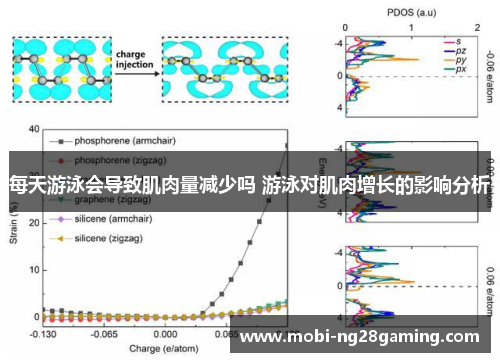 每天游泳会导致肌肉量减少吗 游泳对肌肉增长的影响分析 每天游泳会导致肌肉量减少吗 游泳对肌肉增长的影响分析