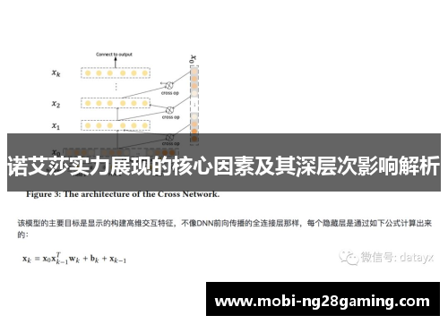 诺艾莎实力展现的核心因素及其深层次影响解析