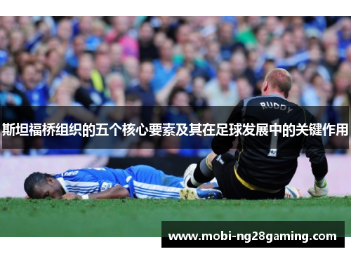 斯坦福桥组织的五个核心要素及其在足球发展中的关键作用 斯坦福桥组织的五个核心要素及其在足球发展中的关键作用